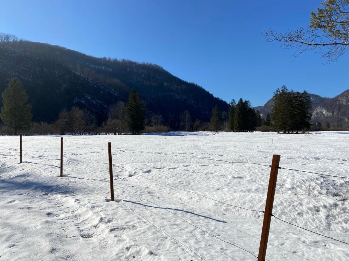 Apartmaji Rupnik Bohinjska Bistrica Eksteriør billede
